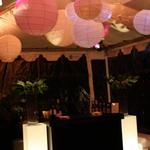 Paper lanterns with a pink and purple colorwash